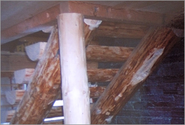 Construction (finition) - Ralis par Construction Pascal Rondeau  Val-David